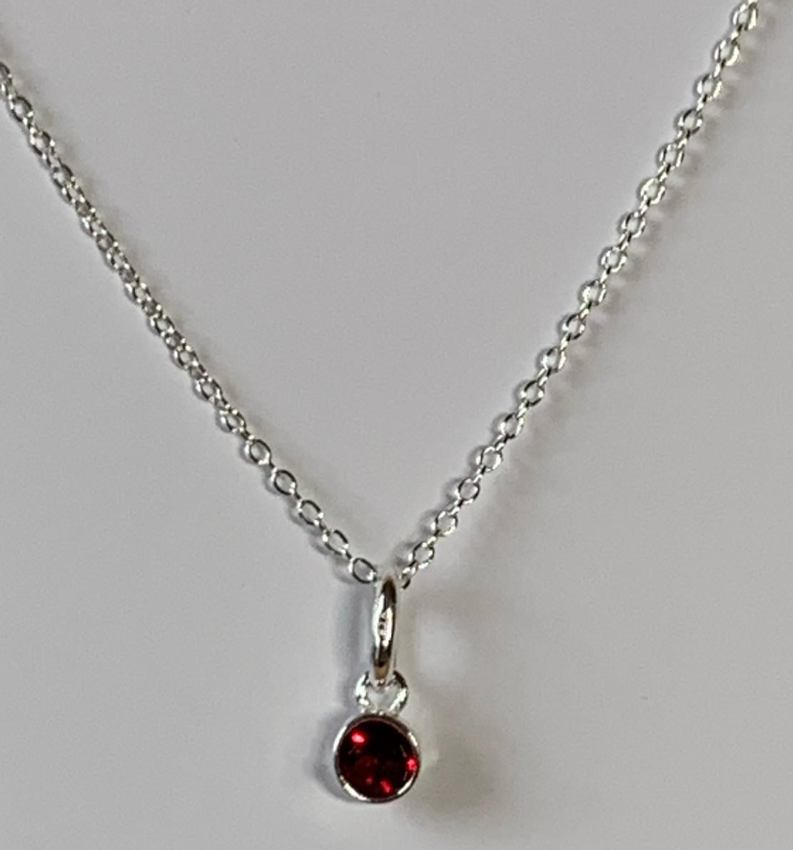Sterling Silver January Birthstone Necklace
