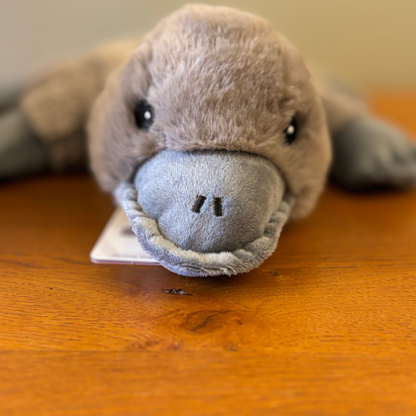 Platypus Warmie