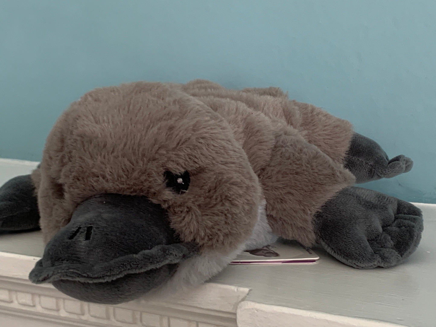 platypus warmie from pixi Daisy