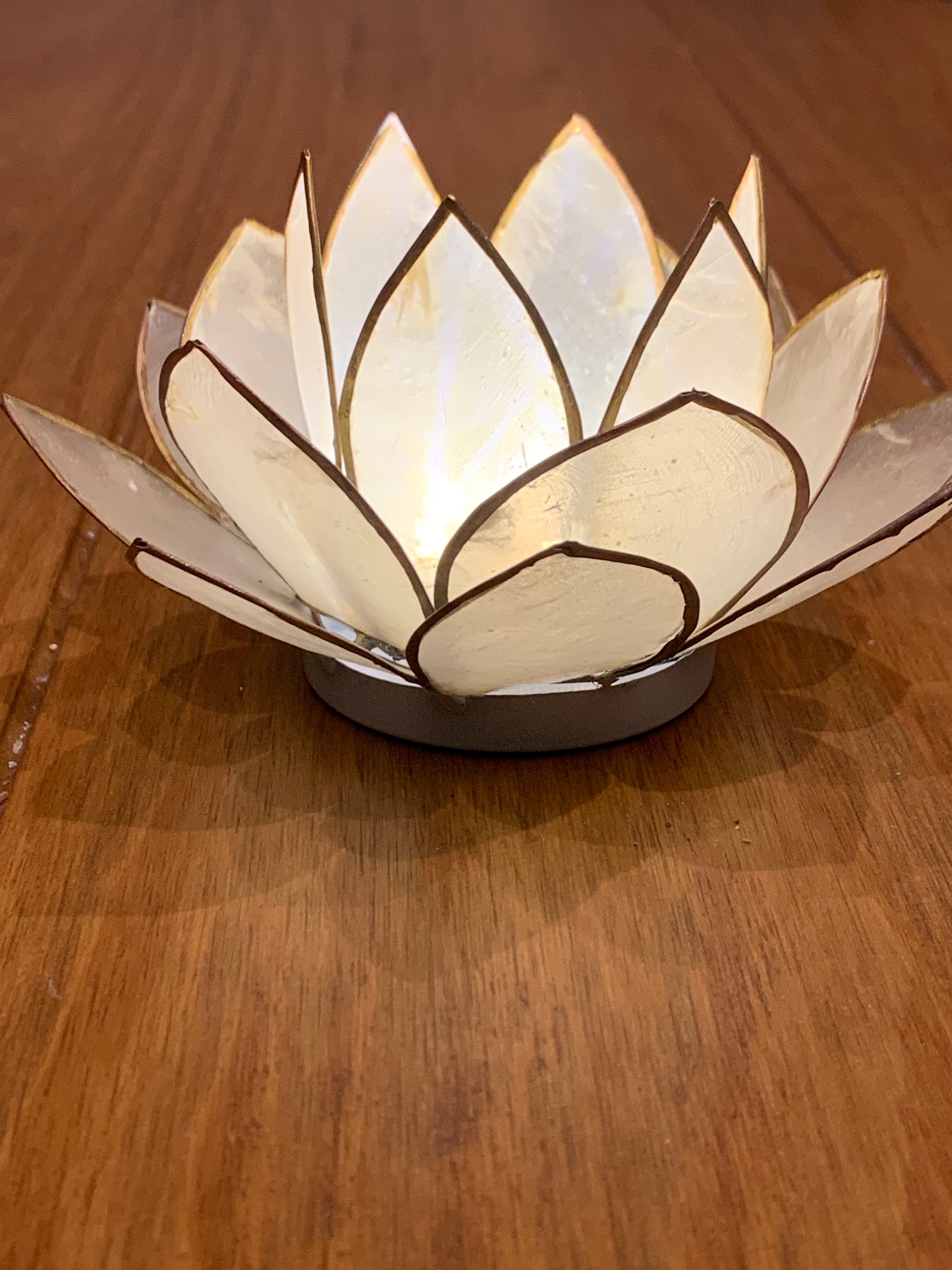 White Lotus Flower from Pixi Daisy