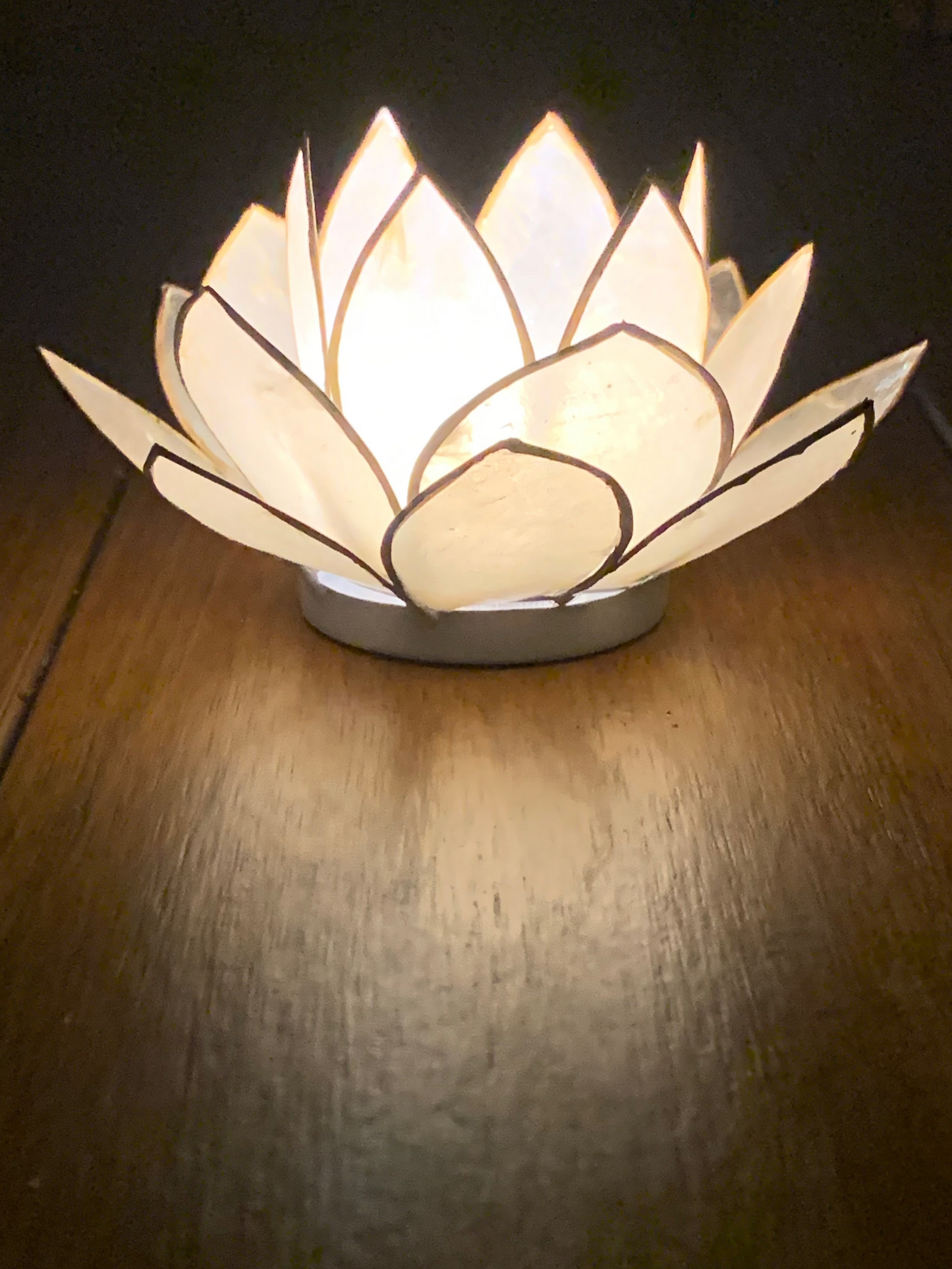 White Lotus Flower from Pixi Daisy