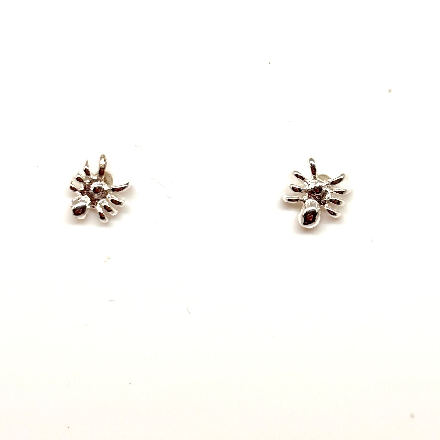 Pair of silver spider earrings from Pixi Daisy