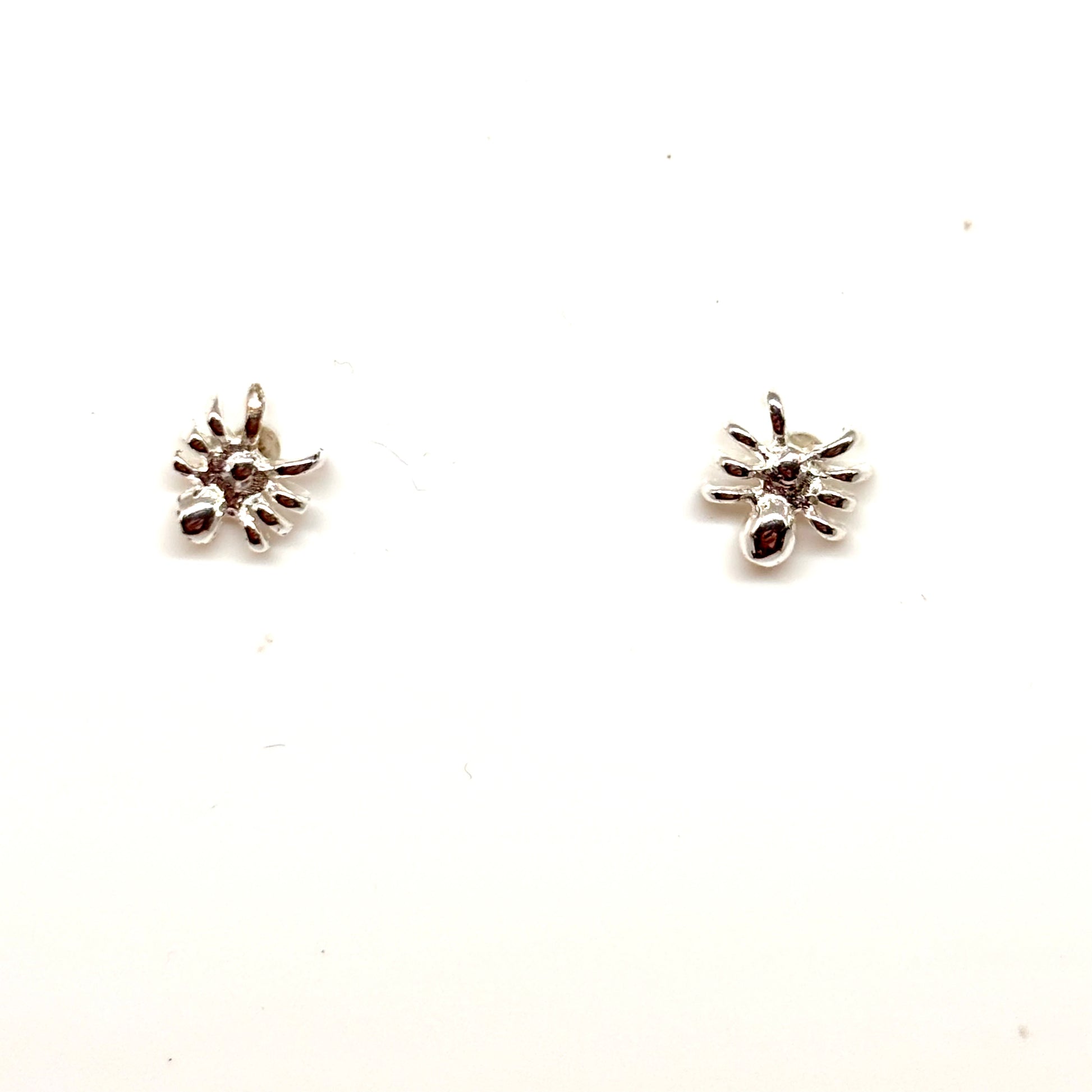 Pair of silver spider earrings from Pixi Daisy