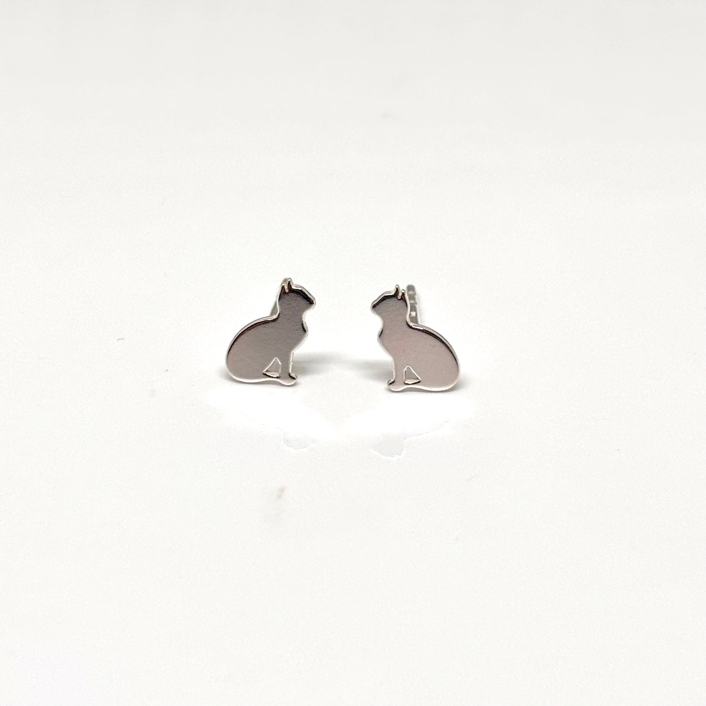 Silver car ear studs from Pixi Daisy