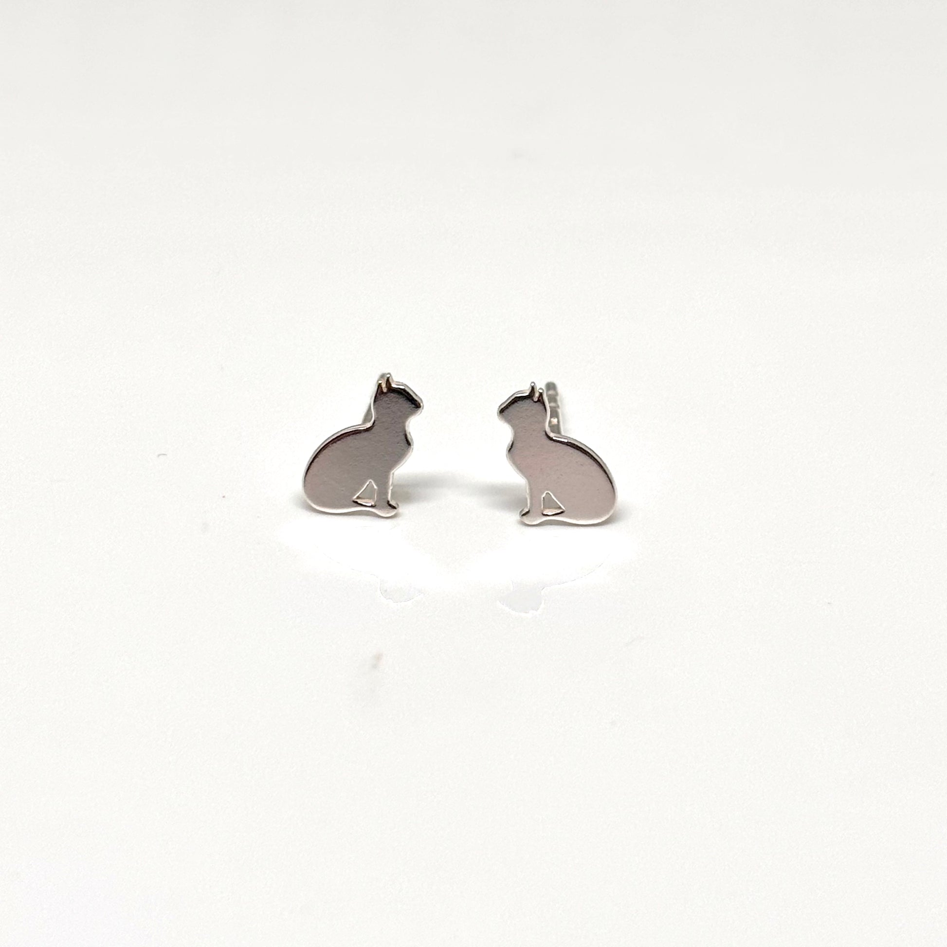 Silver car ear studs from Pixi Daisy