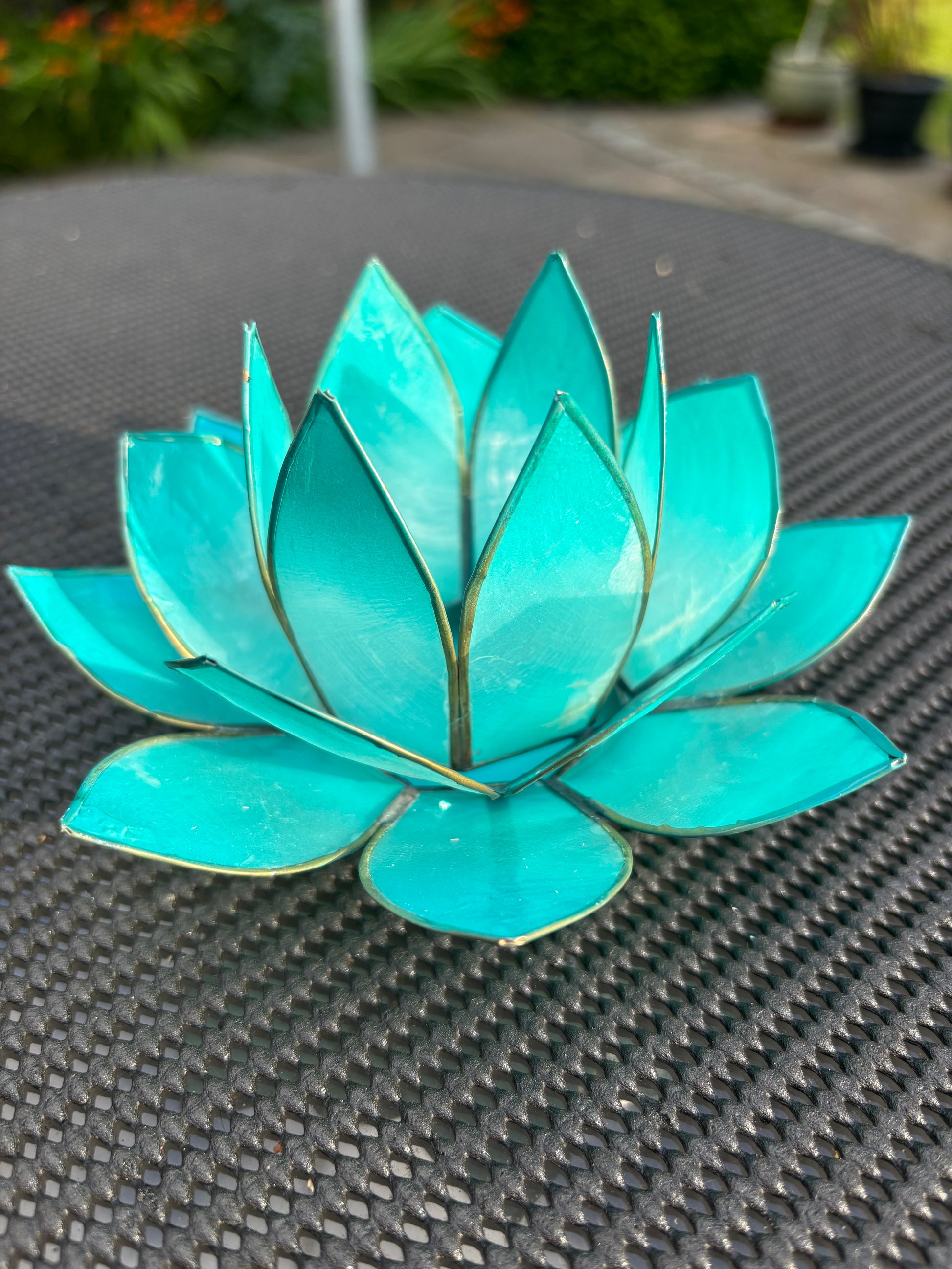 Turquoise Lotus Flower from Pixi Daisy
