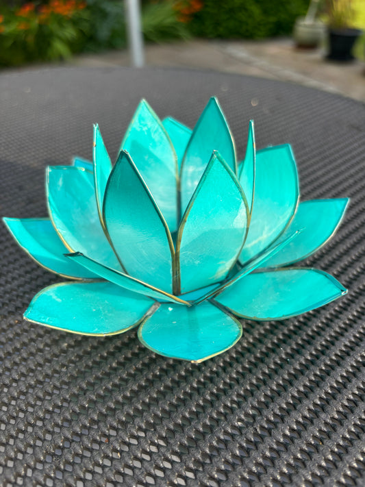 Turquoise Lotus Flower from Pixi Daisy
