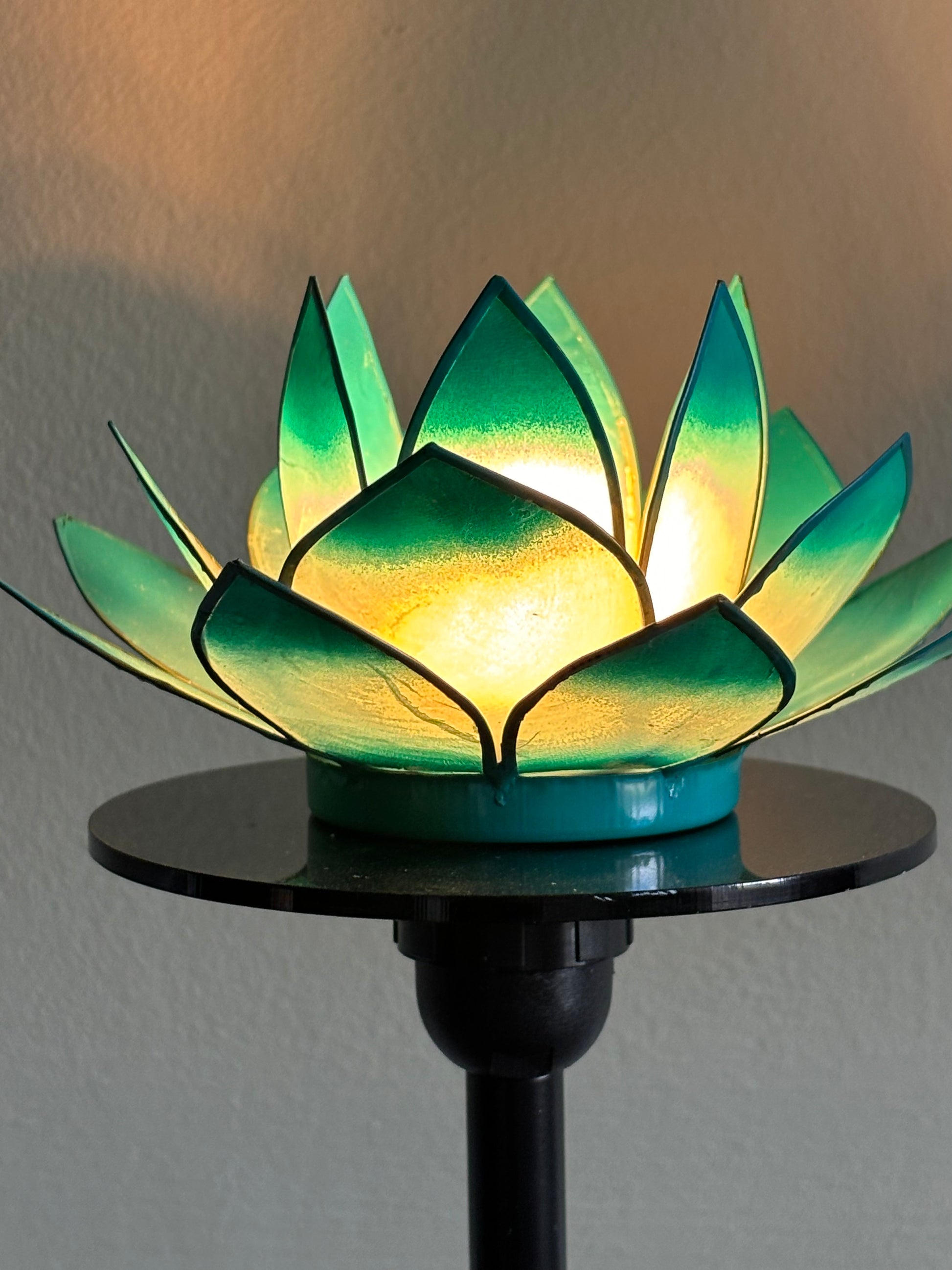 Turquoise Lotus Flower from Pixi Daisy