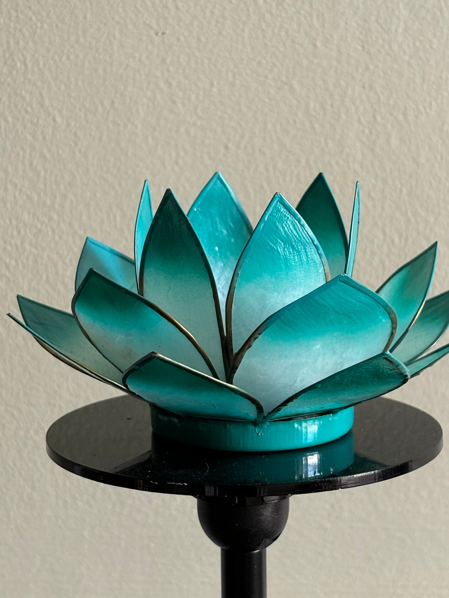Turquoise Lotus Flower from Pixi Daisy