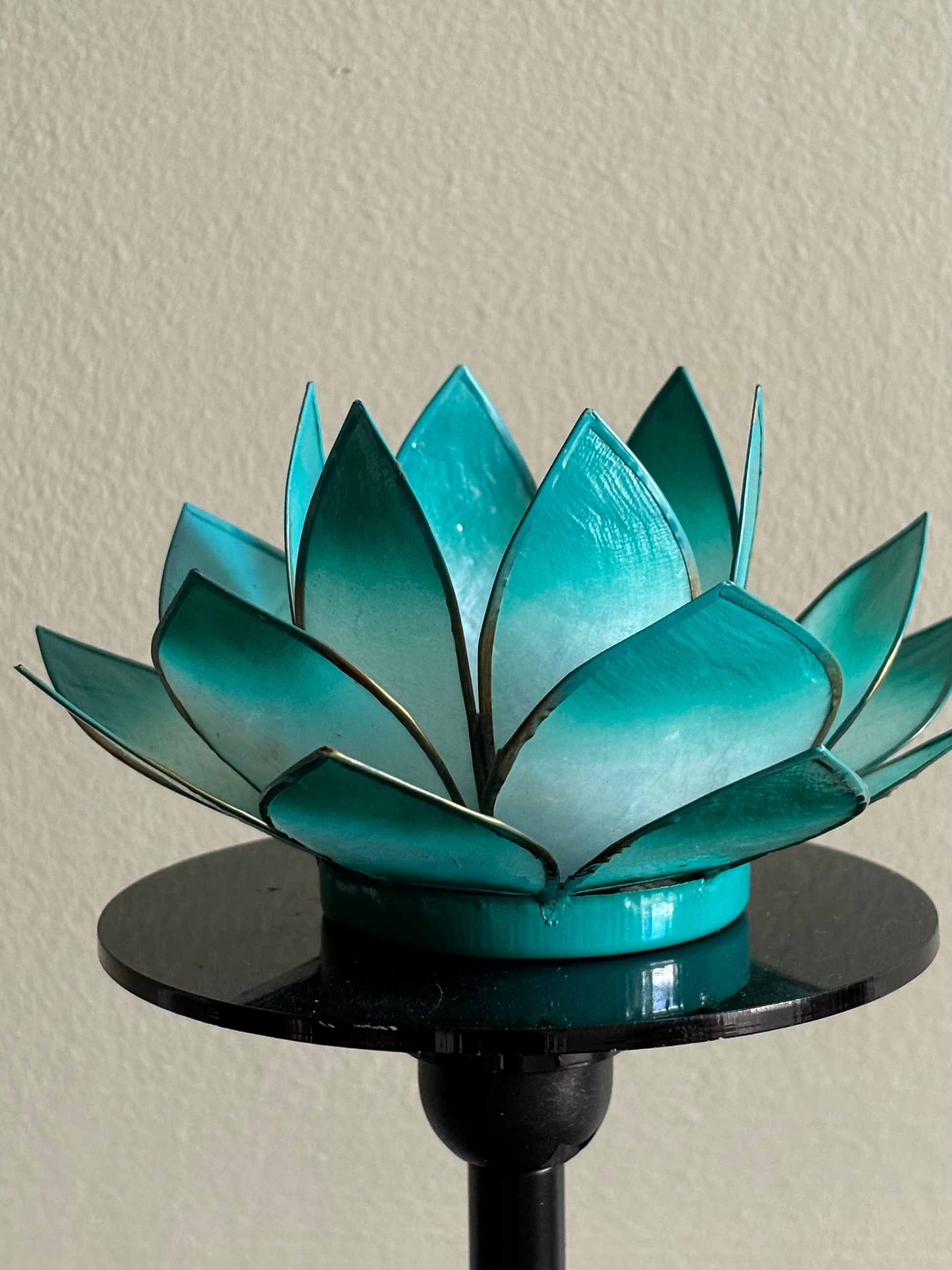 Turquoise Lotus Flower from Pixi Daisy