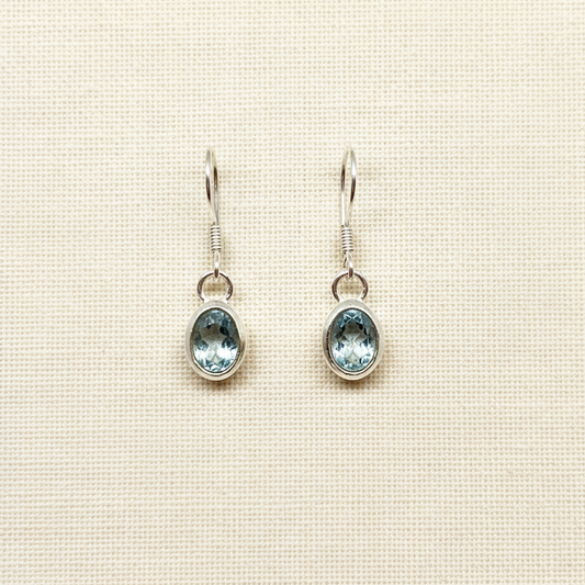 Light Blue Labradorite Earrings from pixi daisy