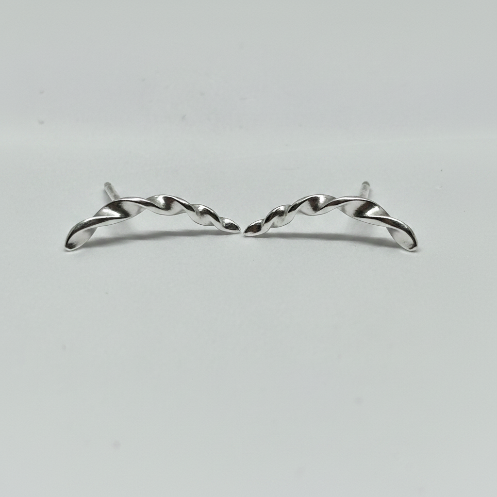 Twist Silver Earrings from pixi daisy