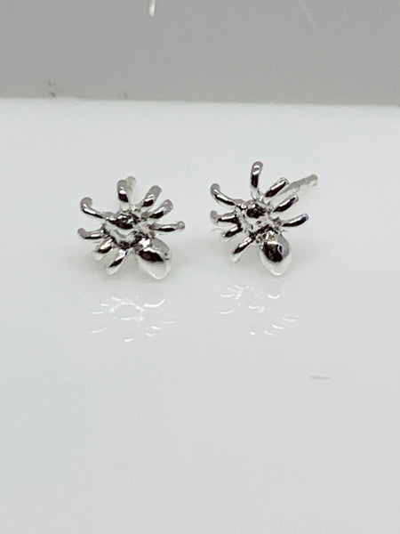 Silver Spider ear Studs from Pixi Daisy