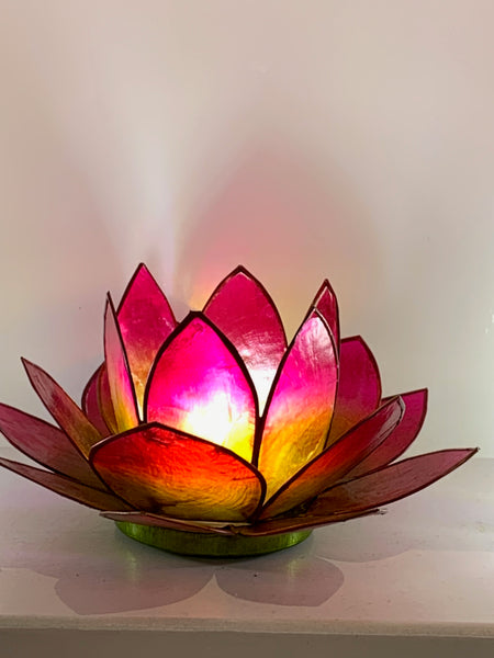 Red Green Tea Light Lotus Flower - Pixi Daisy