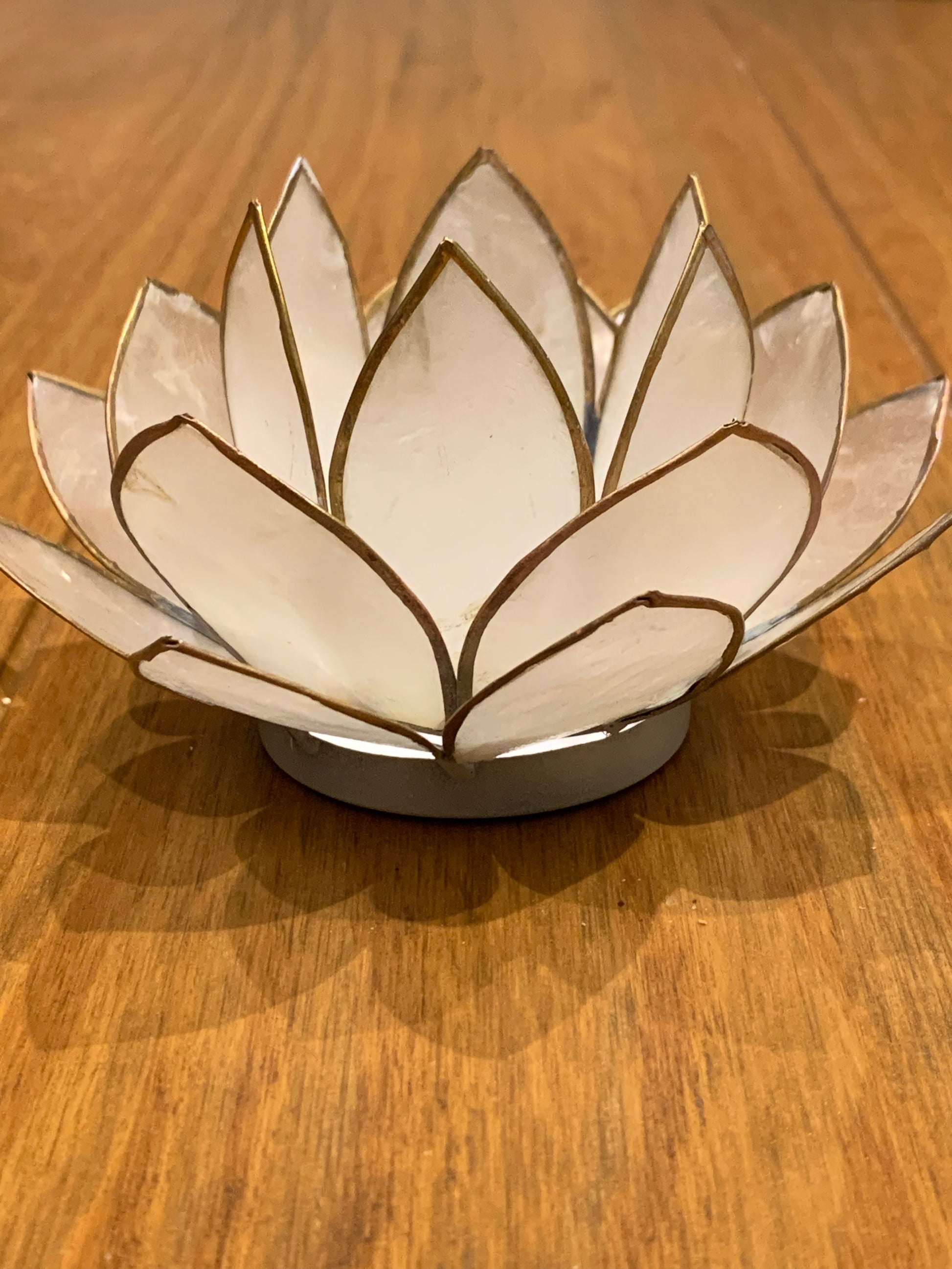 White Lotus Flower from Pixi Daisy