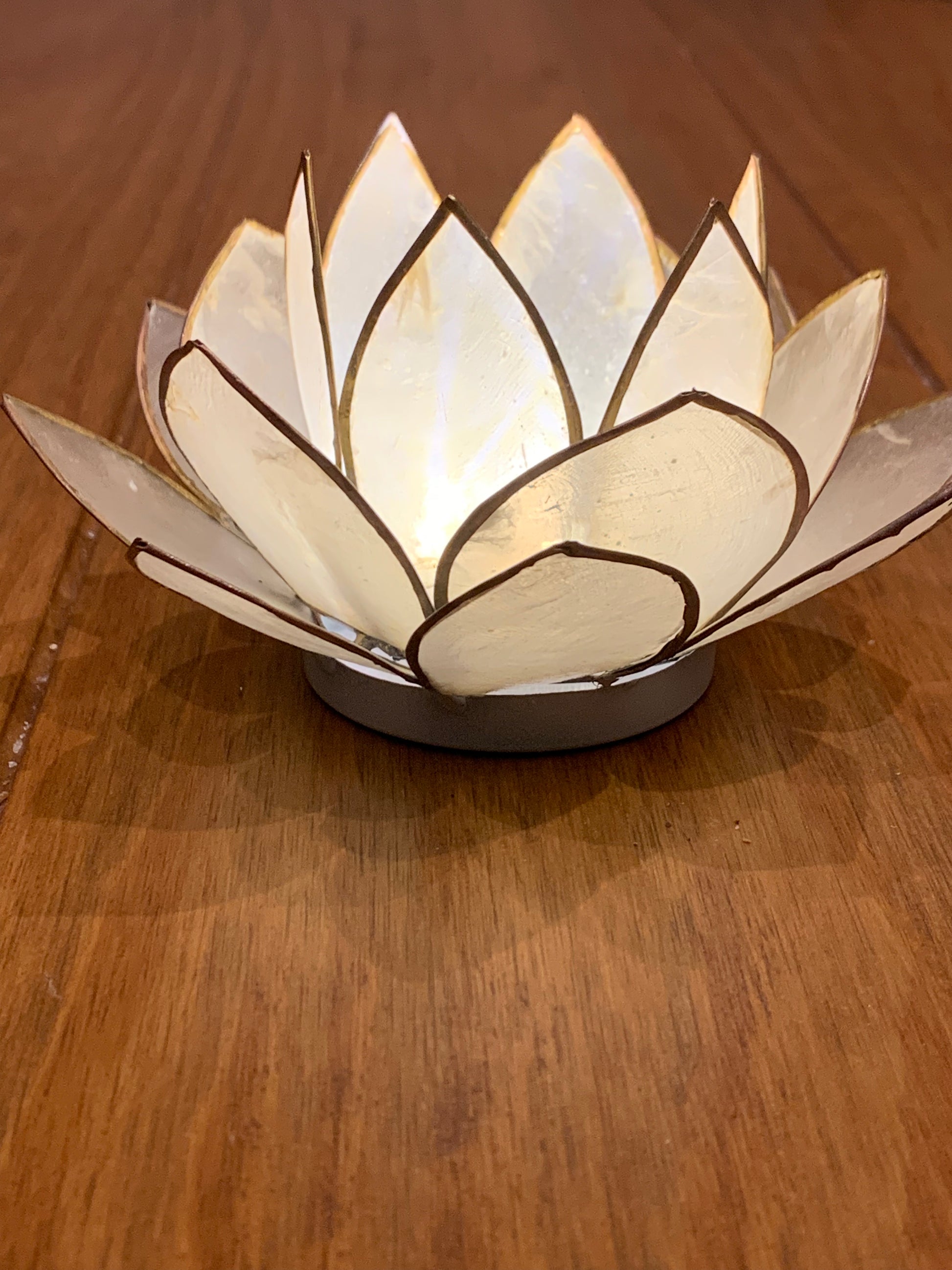 White Lotus Flower from Pixi Daisy