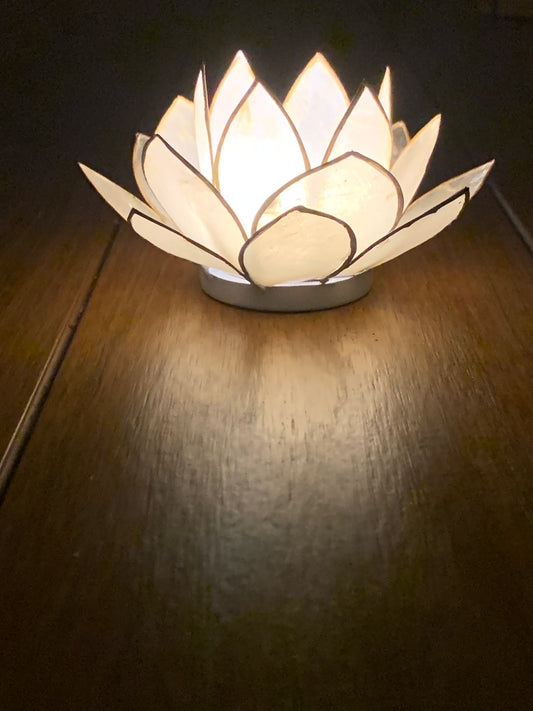 White Lotus Flower from Pixi Daisy