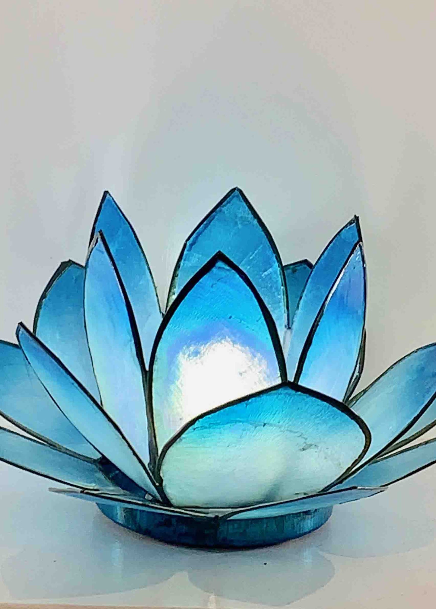 Blue Lotus Flower
