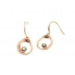 Miss Milly Rose Crystal Fish Hook Earrings - pixi-daisy